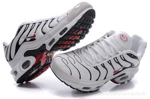 gros nike tn 2011 (1)